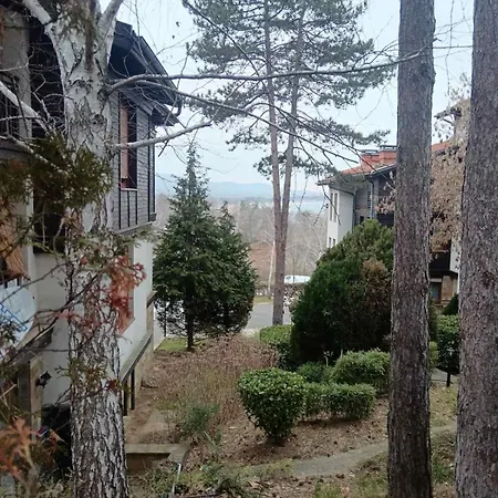 Black Sea Pearl Апартаменты